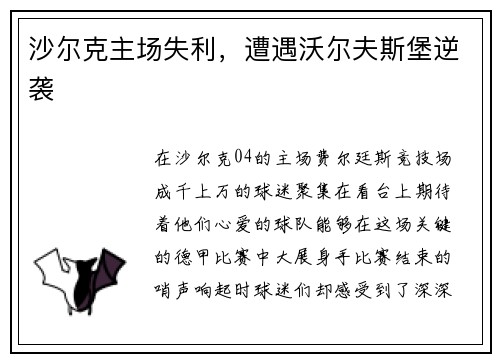 沙尔克主场失利，遭遇沃尔夫斯堡逆袭