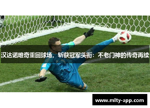 汉达诺维奇重回球场，斩获冠军头衔：不老门神的传奇再续